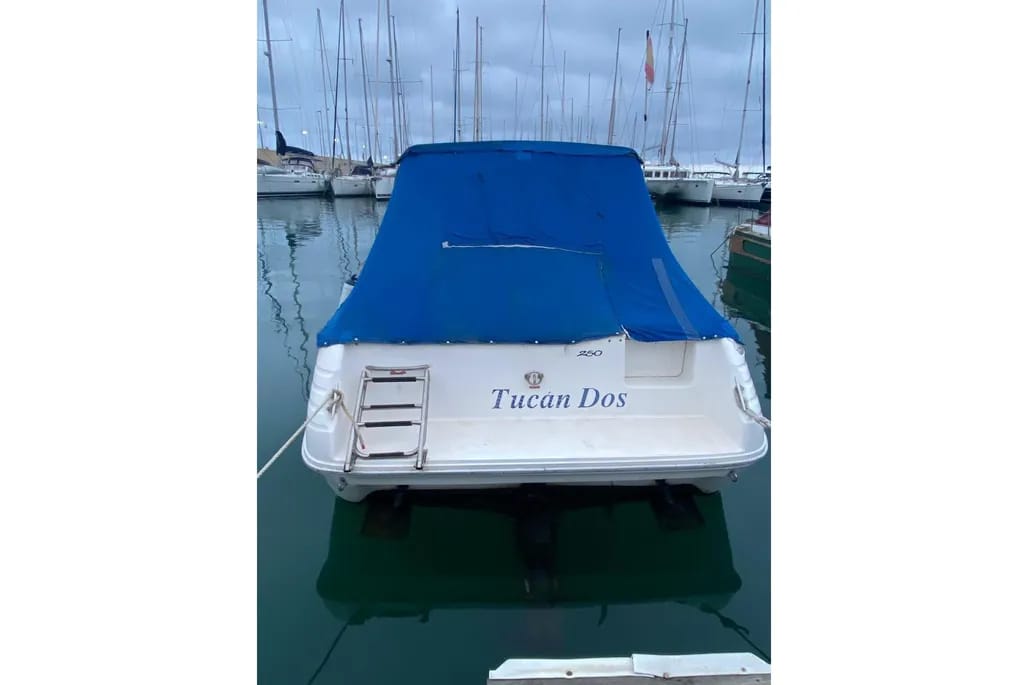 91ccce9c-59b6-4df4-a8f1-d1962b87ea75