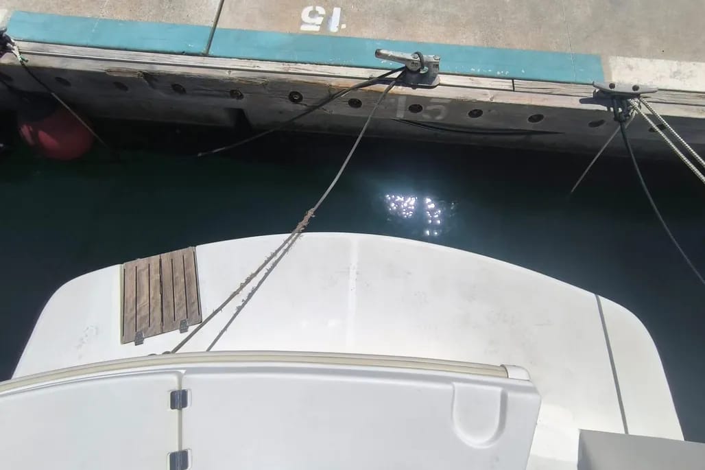 ce65eb7a-6054-483f-a7d3-d6c3540e6622