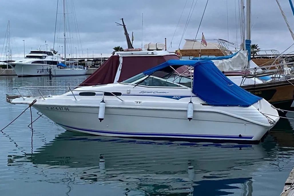 d2d6d873-5415-4079-8dbb-94d47521ab91