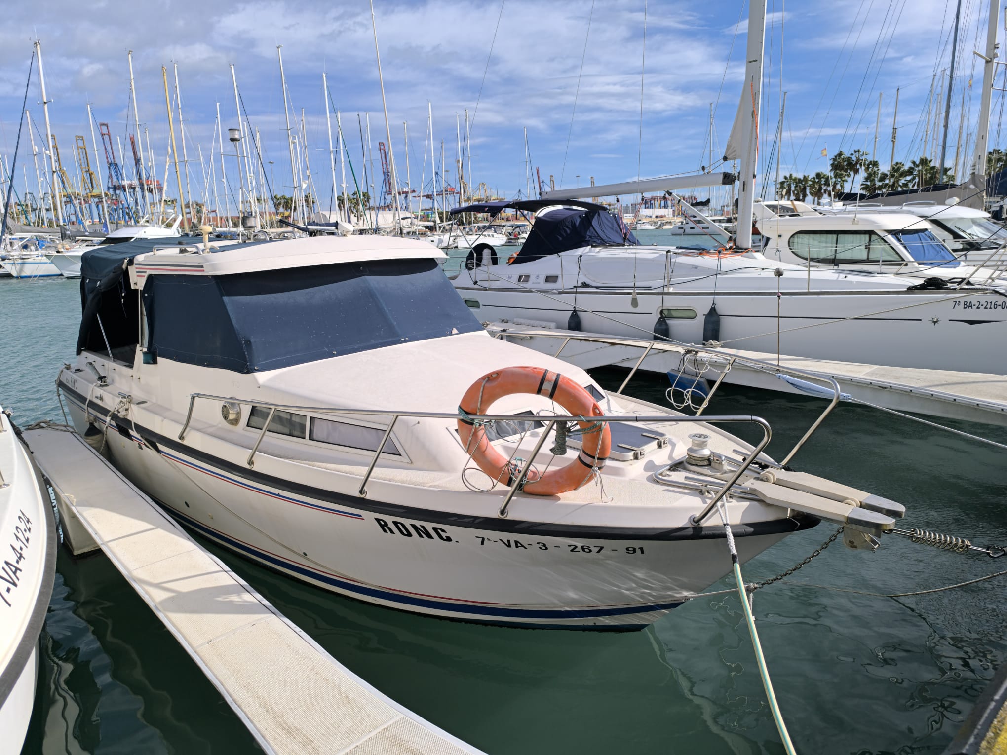 WhatsApp Image 2026-02-10 at 15.23.42 (1)