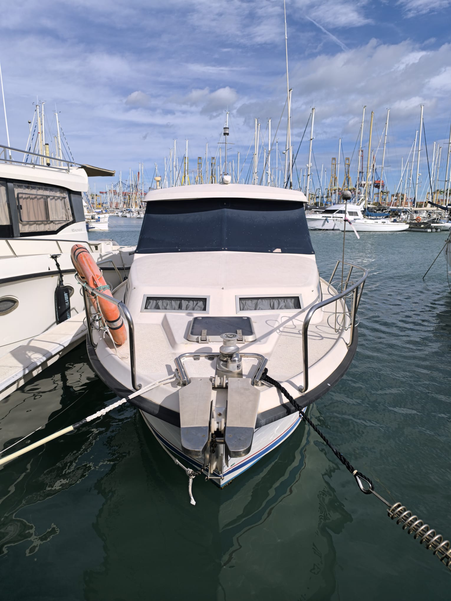 WhatsApp Image 2026-02-10 at 15.23.42