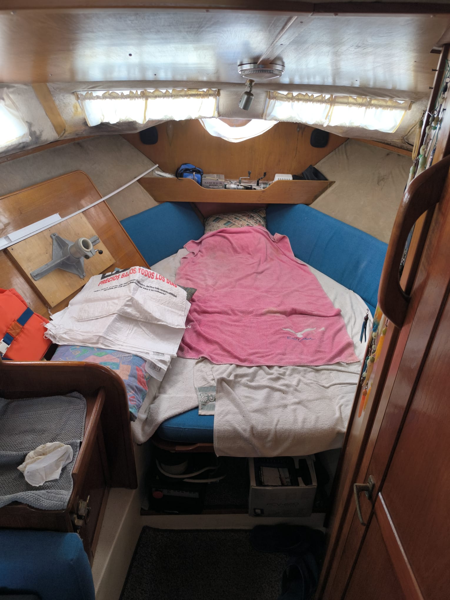 WhatsApp Image 2026-02-10 at 15.23.45