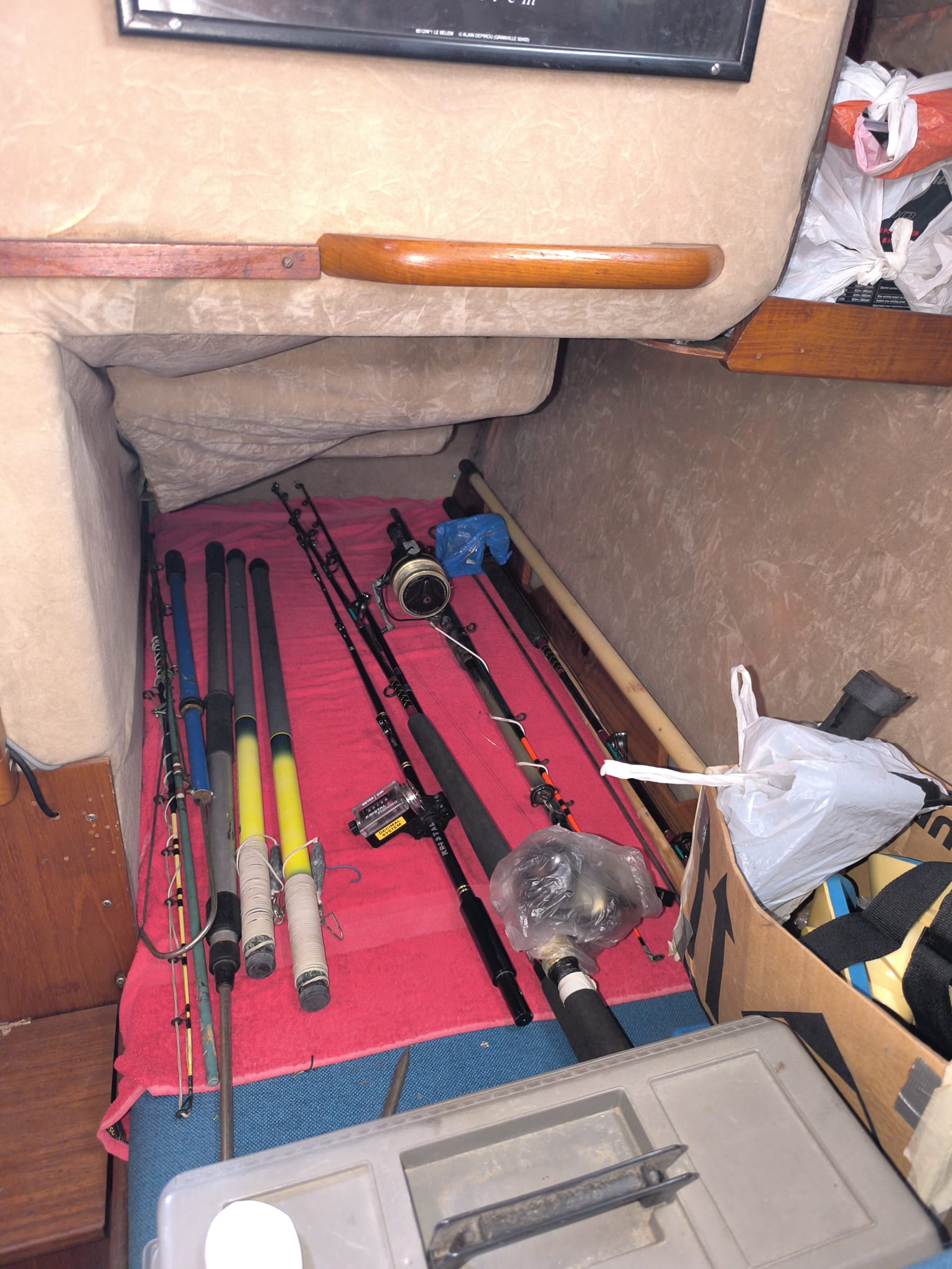 WhatsApp Image 2026-02-10 at 15.23.47