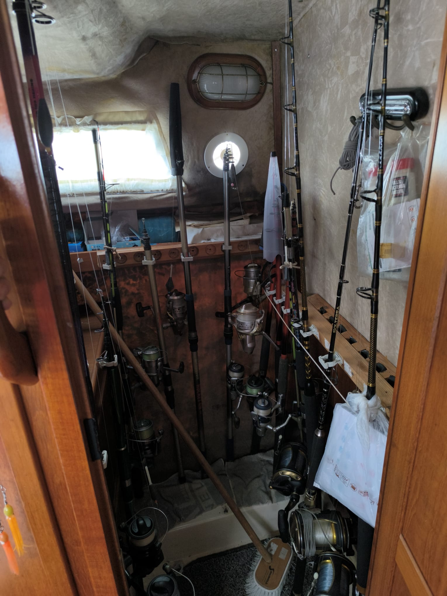 WhatsApp Image 2026-02-10 at 15.23.50 (1)