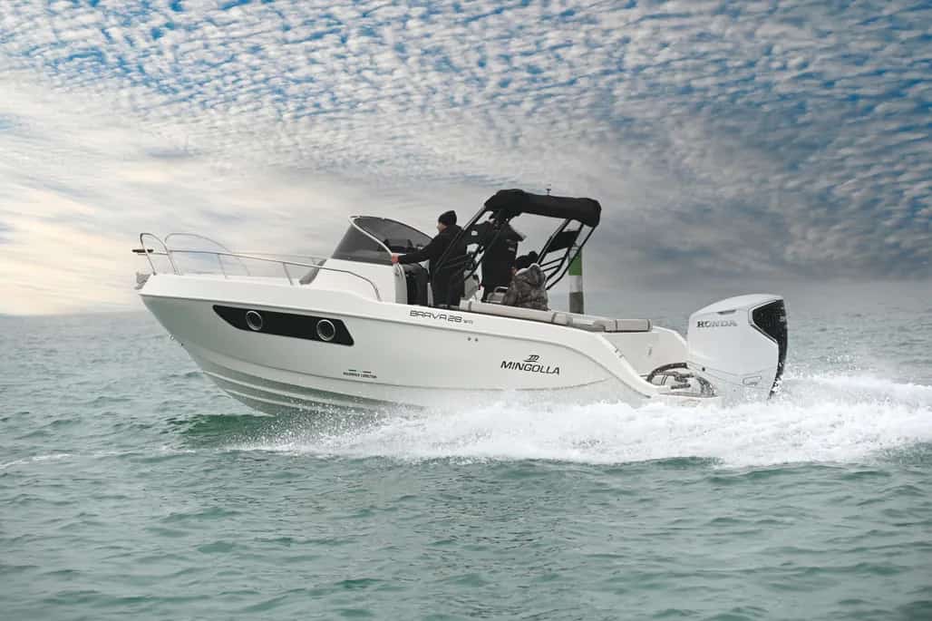 WhatsApp Image 2026-02-10 at 16.31.59 (1)