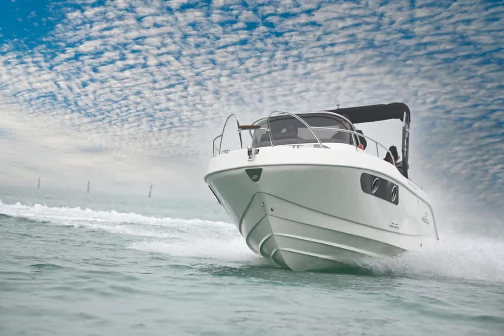 WhatsApp Image 2026-02-10 at 16.31.59 (2)