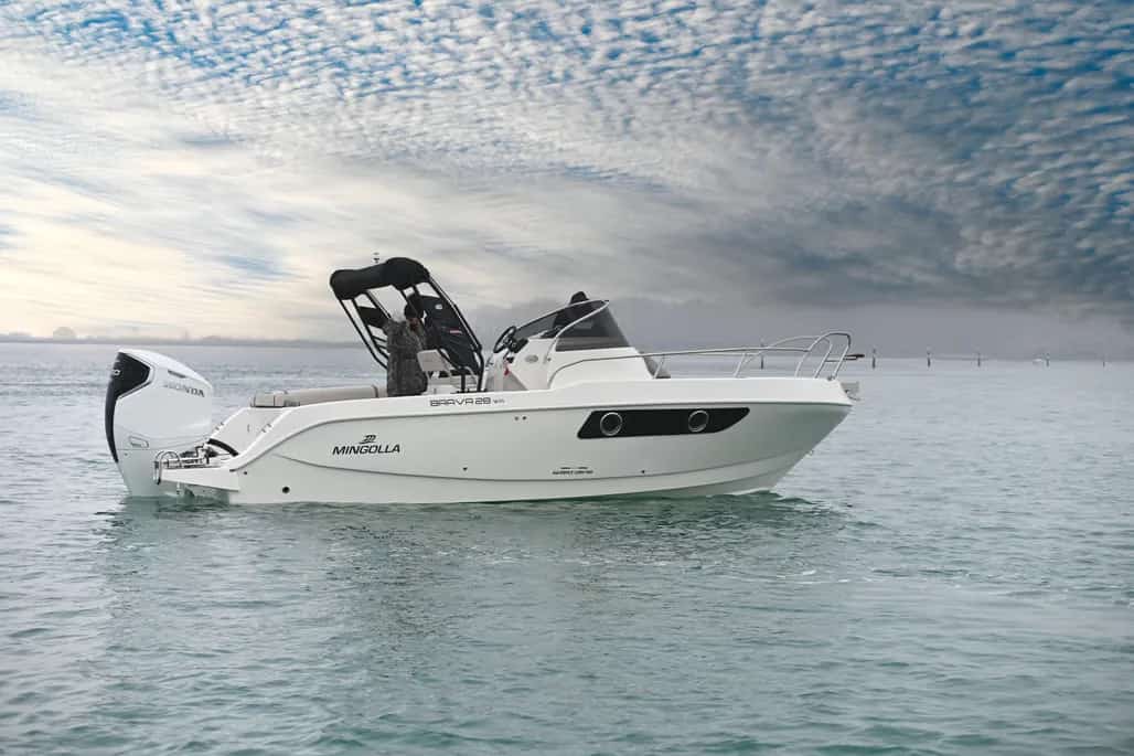 WhatsApp Image 2026-02-10 at 16.31.59