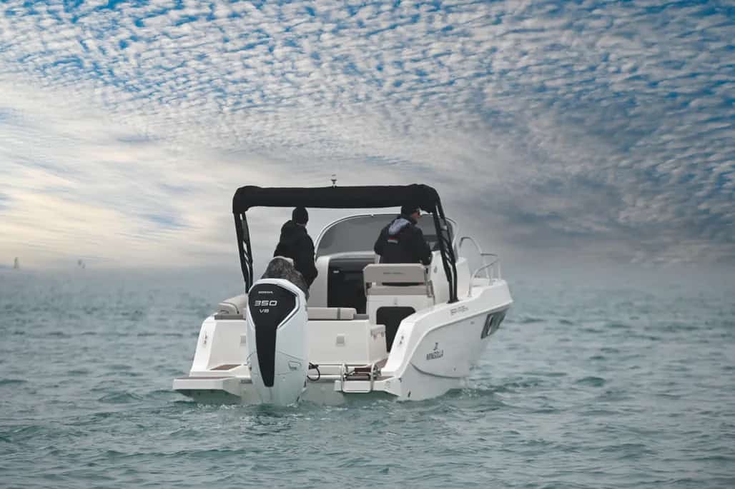 WhatsApp Image 2026-02-10 at 16.32.01 (1)