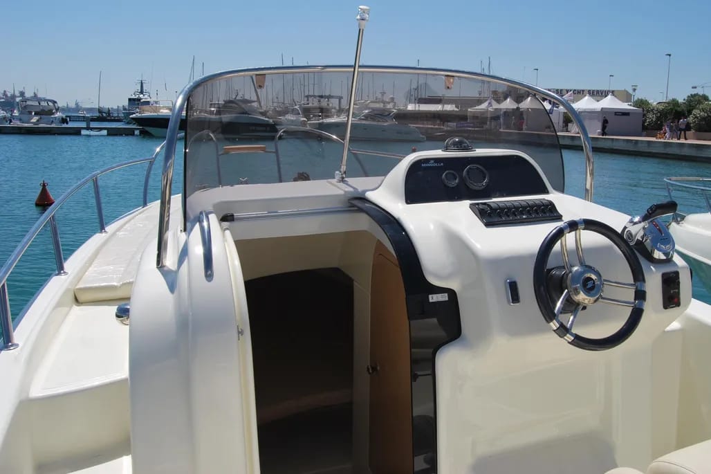 WhatsApp Image 2026-02-10 at 17.05.52