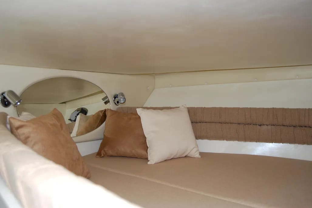 WhatsApp Image 2026-02-10 at 17.05.54