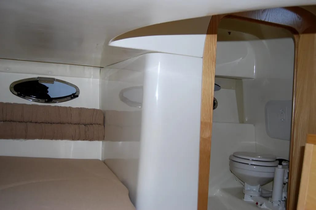 WhatsApp Image 2026-02-10 at 17.05.55