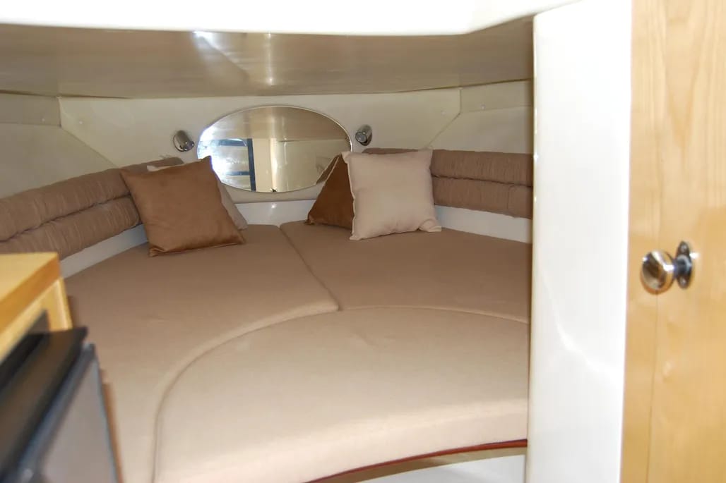 WhatsApp Image 2026-02-10 at 17.05.56