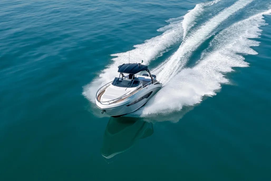 WhatsApp Image 2026-02-23 at 17.14.29 (1)