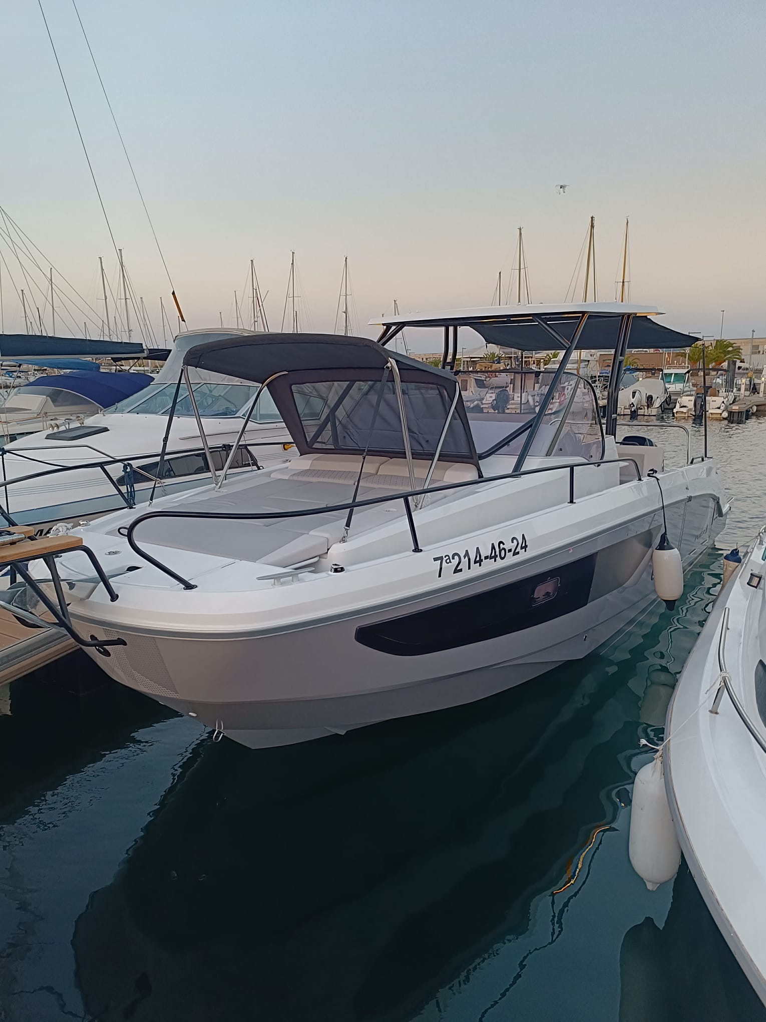 WhatsApp Image 2026-02-27 at 17.37.10